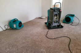 For homeowners and businesses looking for water damage restoration Ashburn, professional help makes all the difference. Cardinal Cleaning Solution