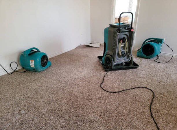 For homeowners and businesses looking for water damage restoration Ashburn, professional help makes all the difference. Cardinal Cleaning Solution