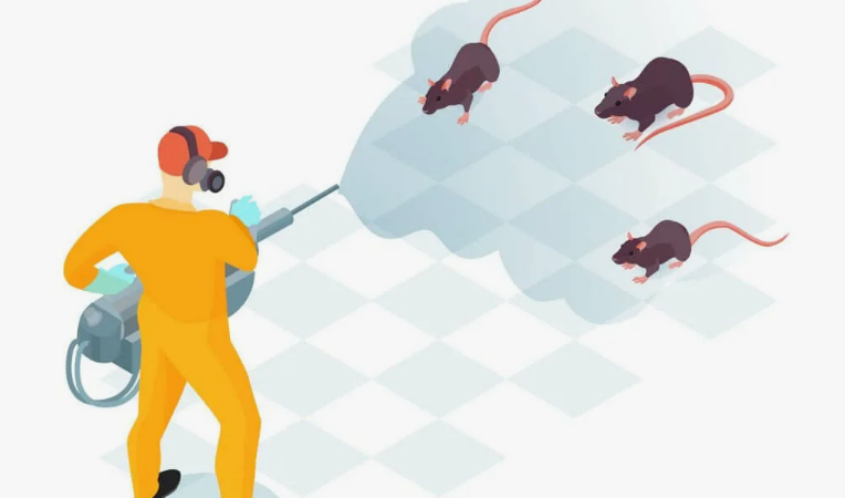 Rat Killer in Pakistan