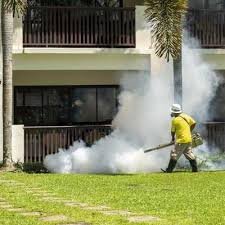 Mosquito Killer Spray Services in Lahore