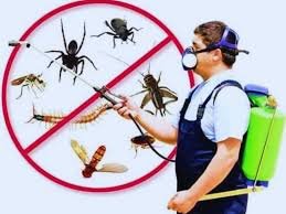 termite treatment in Lahore